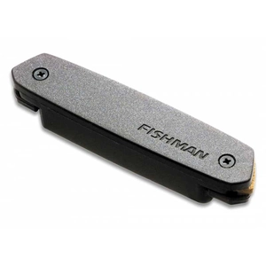 Fishman Néo-D02 - Micro rosace passif humbucker guitare acoustique pas cher