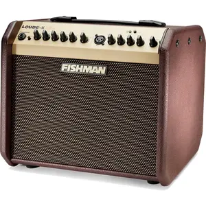 Fishman PRO-LBT-500 - Ampli acoustique Loudbox mini bluetooth - 60W pas cher