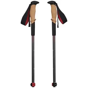 Black Diamond Bâtons Pursuit Shock Trekking