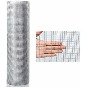 RELAX4LIFE 0,9x15,2m Grillage Métallique de Filtration en Fer Inox Galvanisé à Chaud, Treillis Maille Fine pour Jardin/Usine/Ferme pas cher