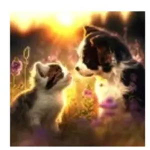 SunsOut Chat et Chien 61870 pas cher