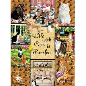 SunsOut Une Vie Parfaite grâce aux Chats 35215 pas cher