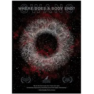 MVD Where Does A Body End ? Blu-ray pas cher