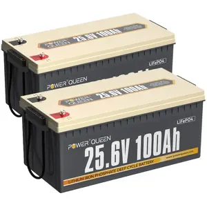 Power Queen Batterie Lithium LiFePO4 24V 100Ah 2560Wh pour Camping-car... pas cher