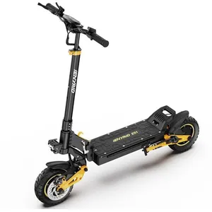 Trottinette Électrique iENYRID ES1  Moteur 2*1200W Batterie 48V 20.8Ah...