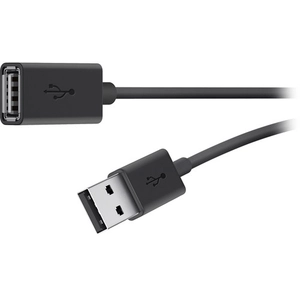 Belkin Câble d'extension USB (1.80 m, USB 2.0, 2.50 W), Câble USB pas cher