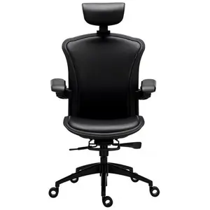 Tesoro Alphaeon E5, Chaise gaming, Noir pas cher