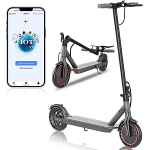 Trottinette électrique pliable- Ladped LP60 - Moteur 350 W Batterie 5.... pas cher