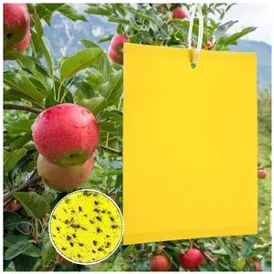 YIKXIULF Pièges à Insectes, 50 Papier Collant Double Face, Jaune Sticky Papiers pour Blanc Feuille de Mouches pour Anti-Insecte Anti BlancVendu parcdiscount
