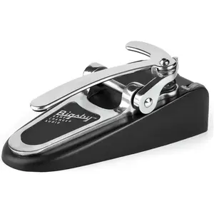 Comparateur de prix : Gamechanger Audio - Bigsby