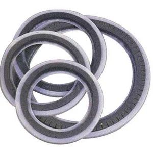 Muffler remo ring control 10 pas cher