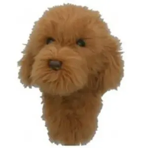 Daphne's Goldendoodle Headcover Motif pas cher