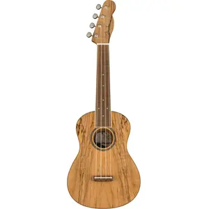 Fender California Coast Zuma Exotic concert ukelele spalted maple pas cher