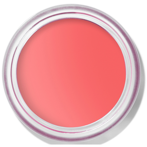 Bobbi Brown Pot Rouge Matte - Various Shades - Apricot Rush: Sheer pea...Vendu parlookfantastic
