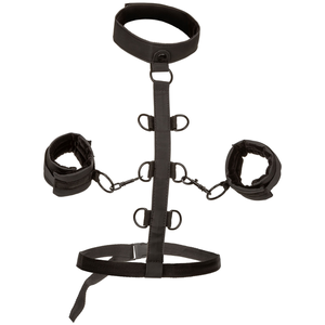 CalExotics Boundless Collar Restraint
