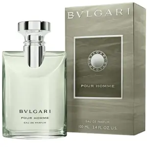 Perfume pour hommes Bvlgari Bvlgari Edp 100 ml pas cher
