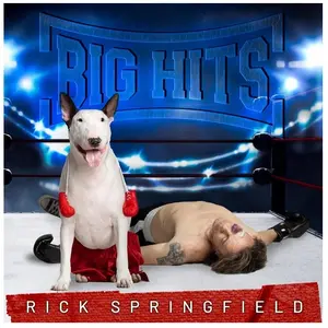 Import Big Hits : Rick Springfield's Greatest Hits Volume 2 pas cher