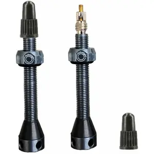 Tubolight TL-VVGRY Paire Valves Tubeless Vélo Mixte, Gris, 50mm pas cher