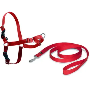 PetSafe Harnais Easy Walk avec boucle Anti-Traction et laisse de 1,8 m, promenade confortable pour vous et lui - 4 points de Réglage Résistant, facile à mettre et enlever Rouge, taille L pas cher