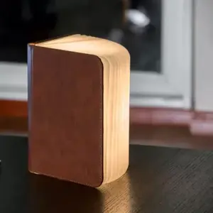 Lumière livre intelligente Gingko en cuir Grand Brun pas cher