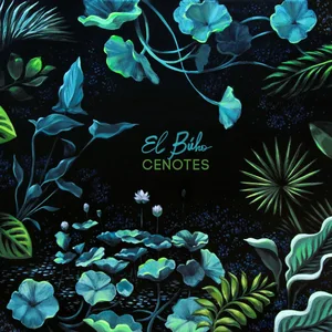 Wonderwheel Recordings Cenotes - Vinyles pas cher