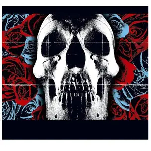 Warner Deftones pas cher