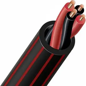 Câbles d'enceintes Audioquest Type 5 (1 m) TYPE5328 pas cher
