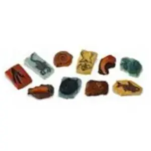 Safari Speelset Ancient Fossils Toob Junior Bruin/grijs 10-delig pas cher