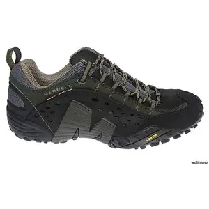Merrell Chaussures De Marche Merrell Intercept J73703 - Noir - 44 pas cher
