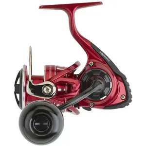 Daiwa Moulinet Spinning Bg Lt Rr ArkVendu parwaveinn