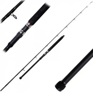 Ugly Stik Canne Pêche De Fond Gx2 Boat pas cher