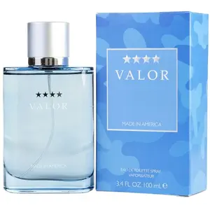 Valor By Dana Edt Spray 100 ml - Fragrances For Men pas cher