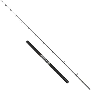 Penn Canne Jigging Battalion Solid Electric Straight Butt pas cher