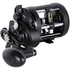 Penn Moulinet De Jigging Rival  Ii Level Wind 20lVendu parwaveinn