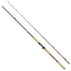 Abu Garcia Canne Baitcasting Beast Pro2 pas cher