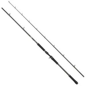 Abu Garcia Canne Baitcasting Beast X2 pas cher