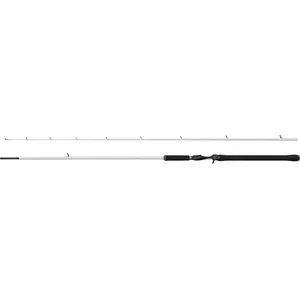 Abu Garcia Canne Baitcasting Beast X2