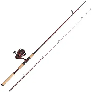 Abu Garcia Combo Spinning Tormentor2