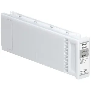 Cartouche d'encre originale Epson C13T800000 Gris Gris clair pas cher
