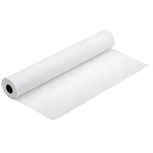 Epson Rouleau de papier pour traceur Premium Semigloss Photo Paier, 11... pas cher
