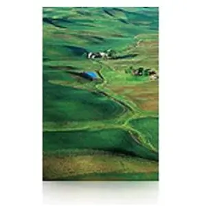 Epson Rouleau de papier pour traceur Premium Semigloss Photo Paier, 1524mm x 30.5m, 250g/m (250 g/m², Plotter rouleaux, 1 x), Papier photo pas cher