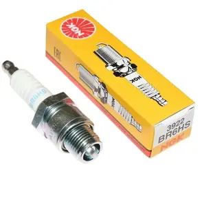 NGK Bougie BR6HS