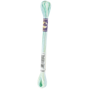 DMC Mouliné Color Variations borduurgaren 4040 Water Lilies pas cher