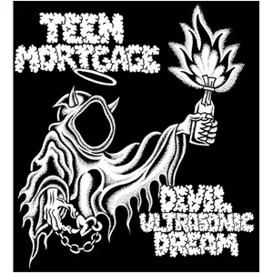 Roadrunner Devil Ultrasonic Dream pas cher