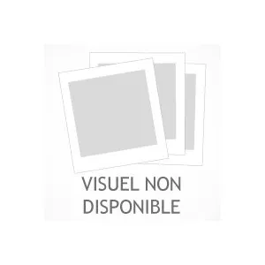 ATLANTIC Rival Sons - Darkfighter (Clear Vinyl) pas cher