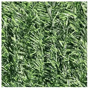 Comparateur de prix : JARDIDECO Haie artificielle Deluxe 126 brins 6 m - 2 rouleaux 3 x 1,80 m - France Green