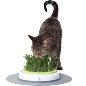 Catit Design Senses Grass Garden Kit - Kattengras - 1 pas cher