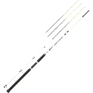 Mitchell Canne Pêche De Fond Riptide Rz Dorade pas cher
