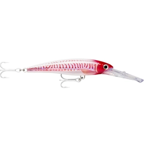 Rapala Minnow X-rap® Magnum® Floating 180 Mm pas cher