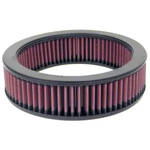 K&N vervangingsfilter passend voor Fiat/Lada/Lancia (E-2670) E2670 K&N pas cher